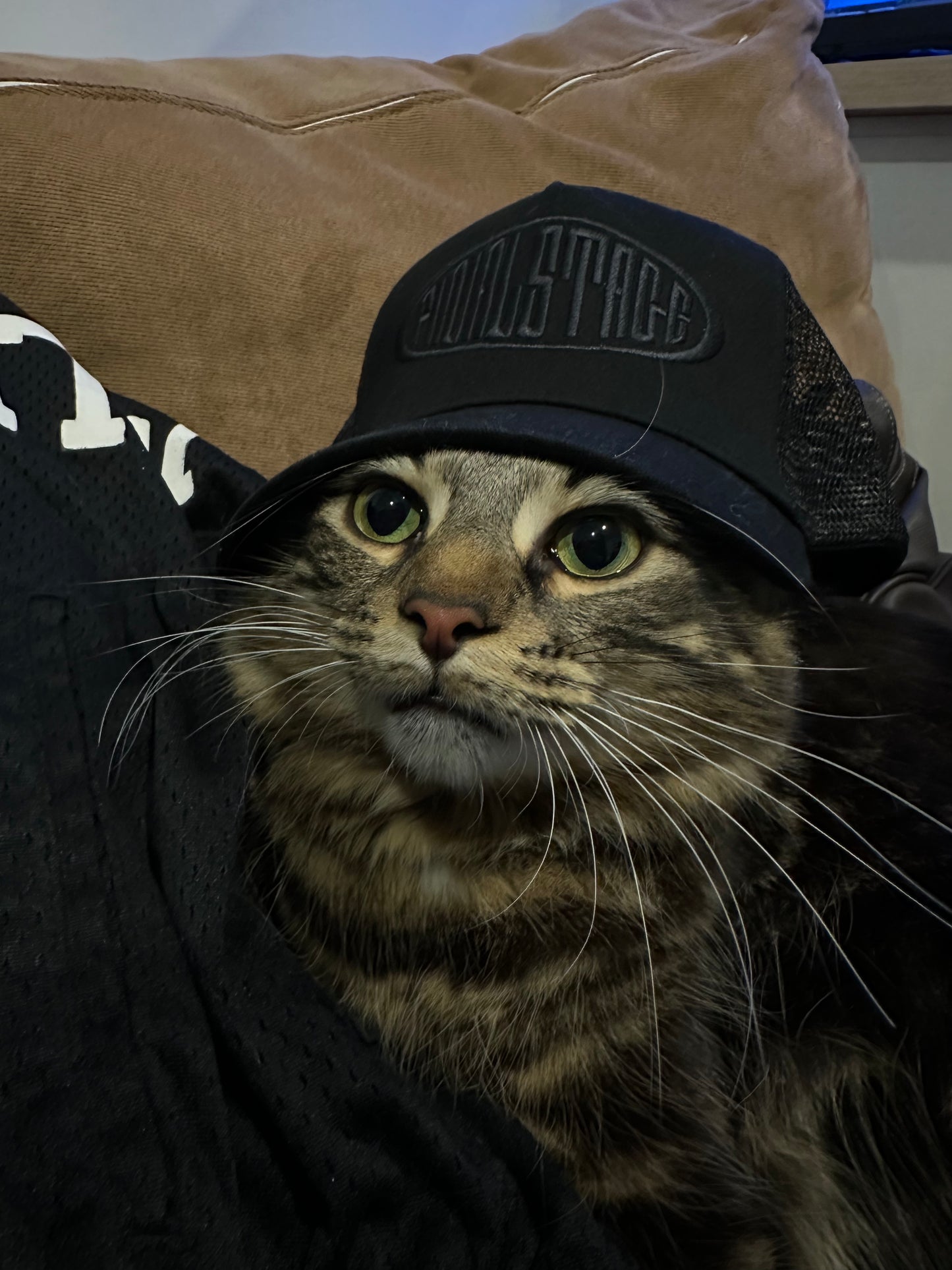 Trucker Hats